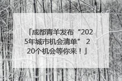 成都青羊发布“2025年城市机会清单” 220个机会等你来！