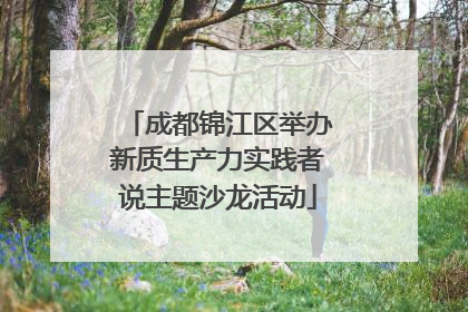 成都锦江区举办新质生产力实践者说主题沙龙活动