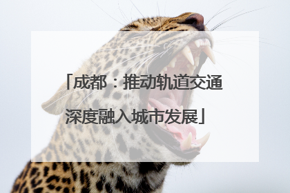 成都：推动轨道交通深度融入城市发展