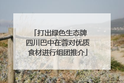 打出绿色生态牌 四川巴中在蓉对优质食材进行组团推介