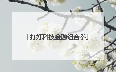打好科技金融组合拳
