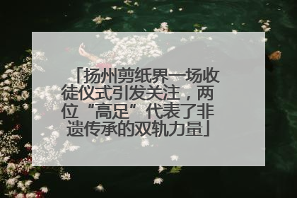 扬州剪纸界一场收徒仪式引发关注，两位“高足”代表了非遗传承的双轨力量
