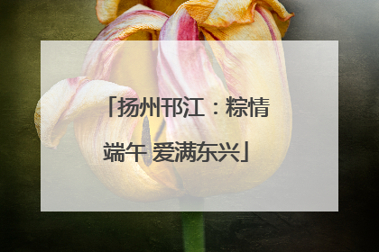 扬州邗江：粽情端午 爱满东兴