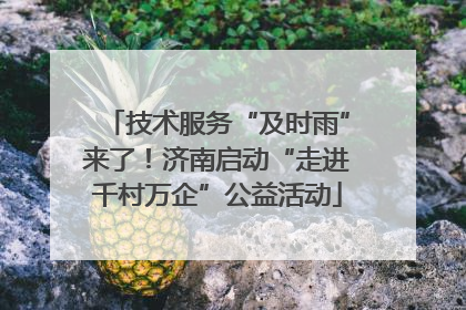 技术服务“及时雨”来了！济南启动“走进千村万企”公益活动