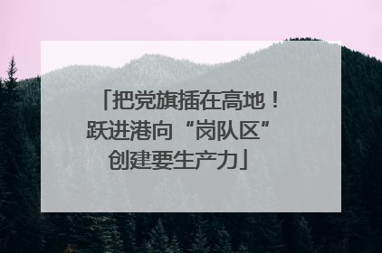 把党旗插在高地！跃进港向“岗队区”创建要生产力