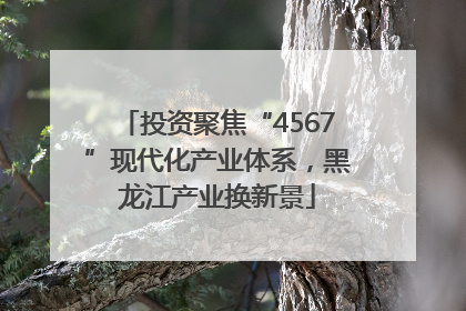 投资聚焦“4567”现代化产业体系，黑龙江产业换新景