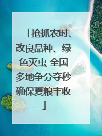 抢抓农时、改良品种、绿色灭虫 全国多地争分夺秒确保夏粮丰收