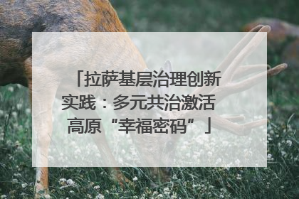 拉萨基层治理创新实践：多元共治激活高原“幸福密码”