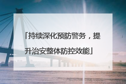 持续深化预防警务，提升治安整体防控效能