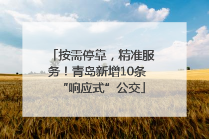 按需停靠，精准服务！青岛新增10条“响应式”公交