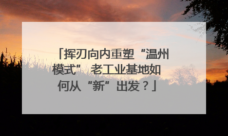 挥刃向内重塑“温州模式” 老工业基地如何从“新”出发？