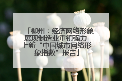 柳州：经济网络形象展现制造业重镇强力 上新“中国城市网络形象指数”报告