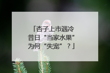 杏子上市遇冷 昔日“当家水果”为何“失宠”？