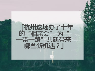 杭州这场办了十年的“相亲会” 为“一带一路”共建带来哪些新机遇？