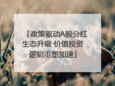 政策驱动A股分红生态升级 价值投资逻辑重塑加速