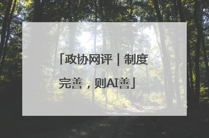 政协网评｜制度完善，则AI善