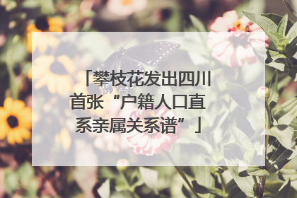 攀枝花发出四川首张“户籍人口直系亲属关系谱”