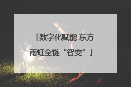 数字化赋能 东方雨虹全链“智变”