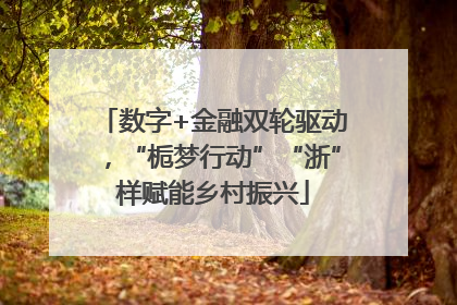 数字+金融双轮驱动，“栀梦行动”“浙”样赋能乡村振兴