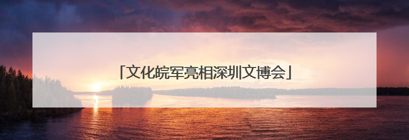 文化皖军亮相深圳文博会
