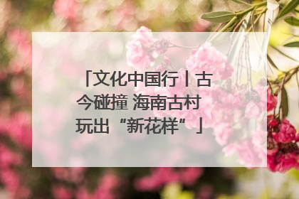 文化中国行丨古今碰撞 海南古村玩出“新花样”