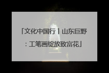 文化中国行丨山东巨野：工笔画绽放致富花