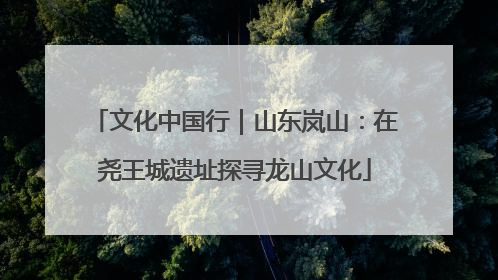 文化中国行｜山东岚山：在尧王城遗址探寻龙山文化