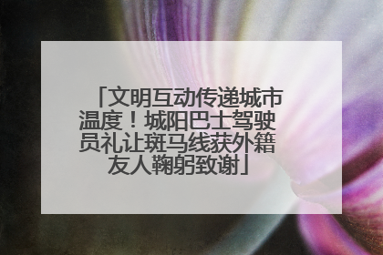 文明互动传递城市温度！城阳巴士驾驶员礼让斑马线获外籍友人鞠躬致谢
