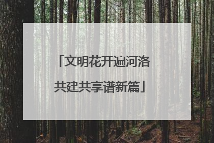 文明花开遍河洛 共建共享谱新篇