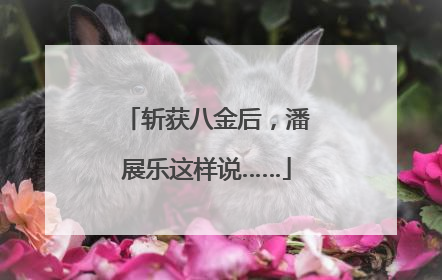 斩获八金后，潘展乐这样说……
