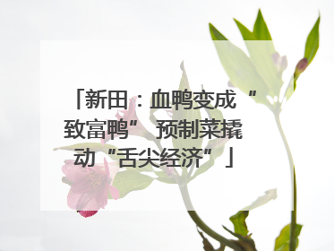 新田：血鸭变成“致富鸭” 预制菜撬动“舌尖经济”