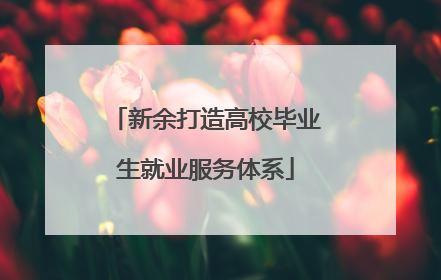 新余打造高校毕业生就业服务体系
