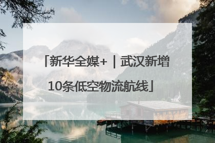 新华全媒+｜武汉新增10条低空物流航线