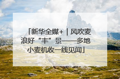 新华全媒+｜风吹麦浪好“丰”景——多地小麦机收一线见闻