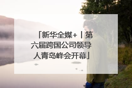 新华全媒+丨第六届跨国公司领导人青岛峰会开幕