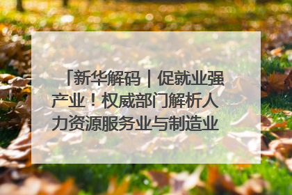 新华解码｜促就业强产业！权威部门解析人力资源服务业与制造业融合发展试点