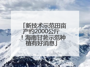 新技术示范田亩产约2000公斤！海南甘薯示范种植有好消息