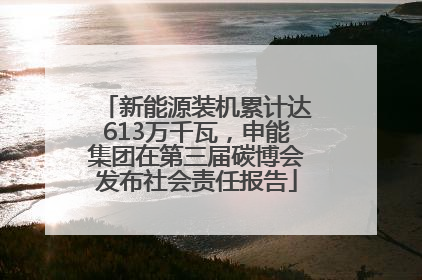 新能源装机累计达613万千瓦，申能集团在第三届碳博会发布社会责任报告