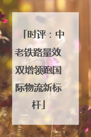 时评：中老铁路量效双增领跑国际物流新标杆