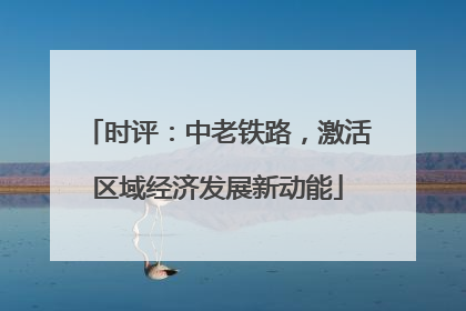 时评：中老铁路，激活区域经济发展新动能