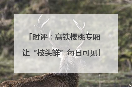 时评：高铁樱桃专厢 让“枝头鲜”每日可见