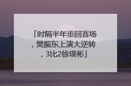 时隔半年重回赛场，樊振东上演大逆转，3比2徐瑛彬