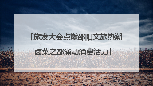 旅发大会点燃邵阳文旅热潮 卤菜之都涌动消费活力