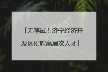 无笔试！济宁经济开发区招聘高层次人才