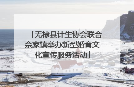 无棣县计生协会联合佘家镇举办新型婚育文化宣传服务活动