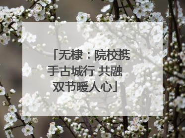 无棣：院校携手古城行 共融双节暖人心