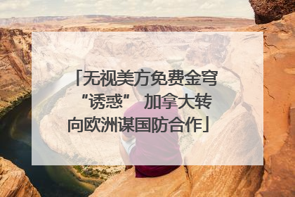 无视美方免费金穹“诱惑” 加拿大转向欧洲谋国防合作
