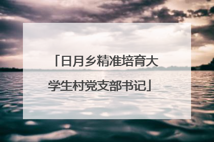 日月乡精准培育大学生村党支部书记