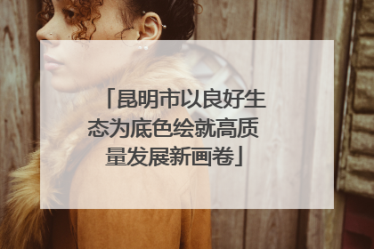 昆明市以良好生态为底色绘就高质量发展新画卷