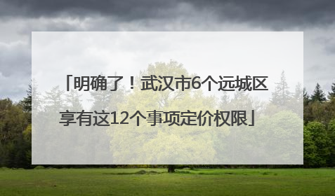 明确了！武汉市6个远城区享有这12个事项定价权限